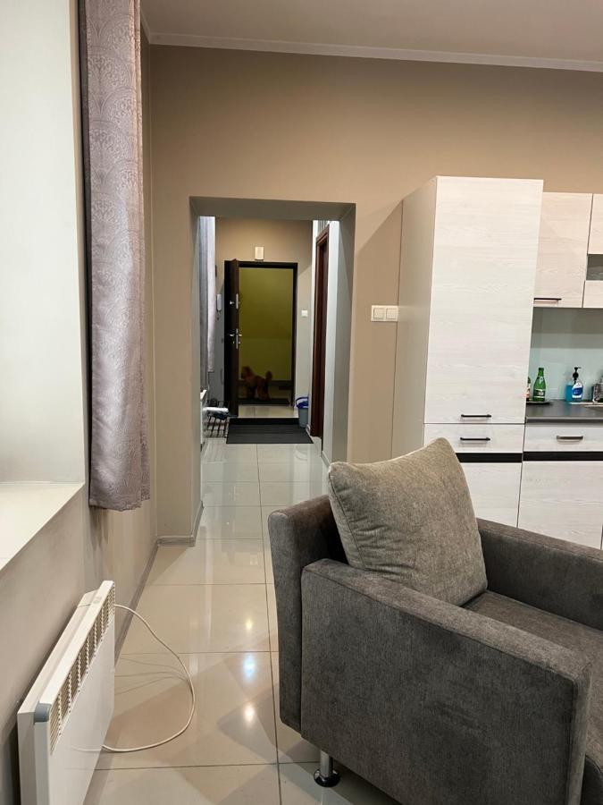 Look Of Dreams - Apartament Milowice ソスノヴィエツ エクステリア 写真